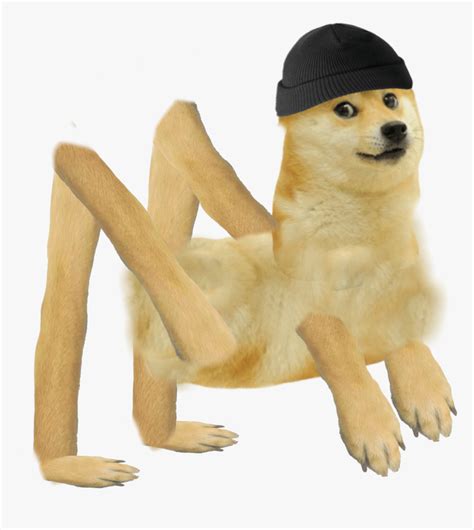 65 Buff Doge Meme Png