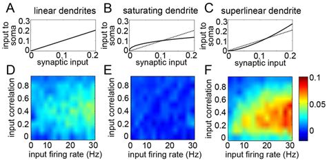 A. Transfer functions depicting the summation of synaptic inputs for... | Download Scientific ...