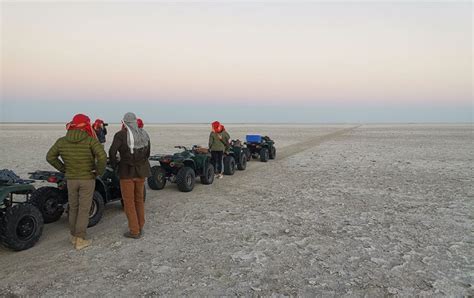 Discovering the Kalahari Desert | African Wildlife Safaris