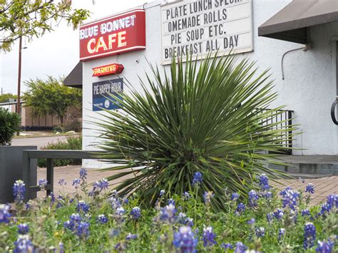 Blue Bonnet Cafe switches to takeout and curbside service only - DailyTrib.com