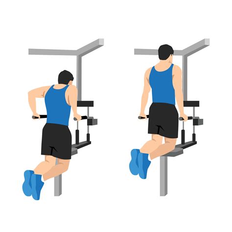 Man doing dips on parallel bars in the gym exercise. Flat vector illustration isolated on white ...