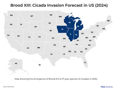 A rare, historically massive cicada season is coming: How to protect ...