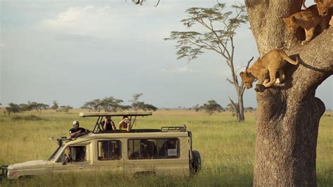 Kenya & Tanzania Safari Experience in Kenya, Africa - G Adventures