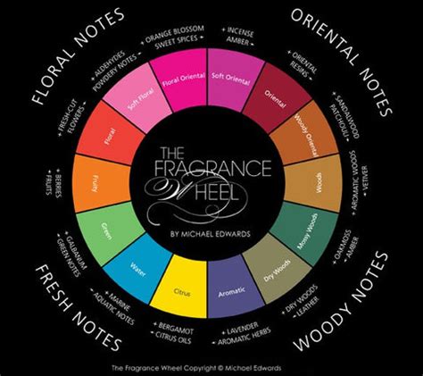 The Fragrance Wheel - Best Perfumes