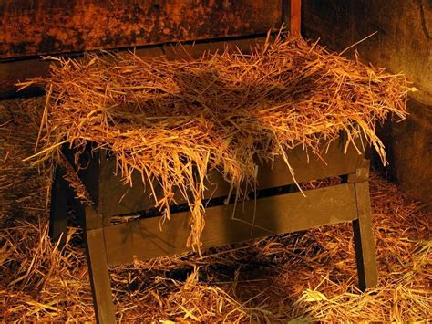 Born in a manger... Really God?!? | Calvary Baptist Church