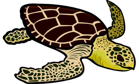 Free Sea Turtle Clipart Png, Download Free Sea Turtle Clipart Png png images, Free ClipArts on ...