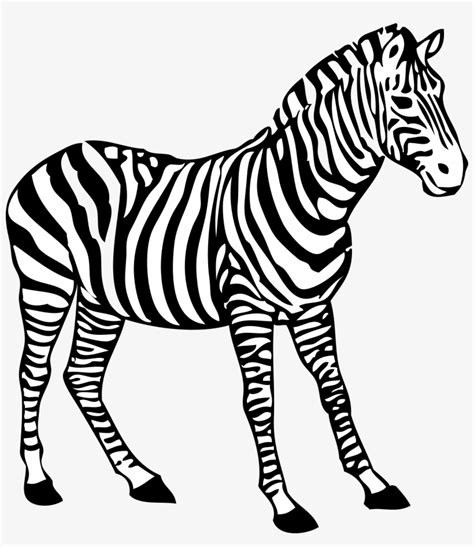 Zebra Clipart Black And White - Colouring Picture Of Zebra Transparent PNG - 2555x2824 - Free ...