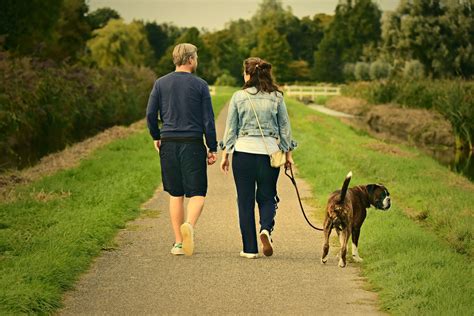 The Real Benefits of Walking Your Dog – Sweatcoin