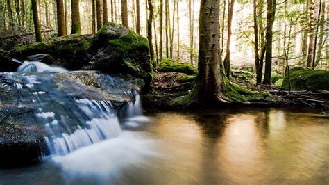 Golden Waters | Part of my ongoing "Black Forest Waterfalls"… | Flickr