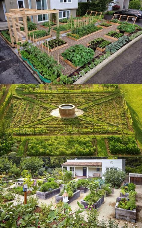 Vegetable Garden Layout: 7 Best Design Secrets - A Piece Of Rainbow