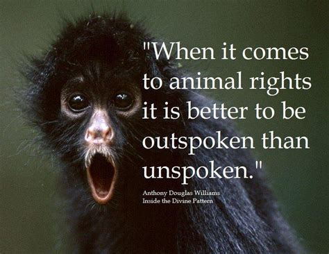 Pin by Krys Bradford on Animal Rights | Animal activism, Animal advocacy, Animal rights