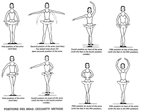 positions | Ballet positions, Ballet basics, Ballet technique