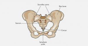 Posterior Pelvic Ring Fractures of the SI Joint and the Sacrum - Ortho Illinois