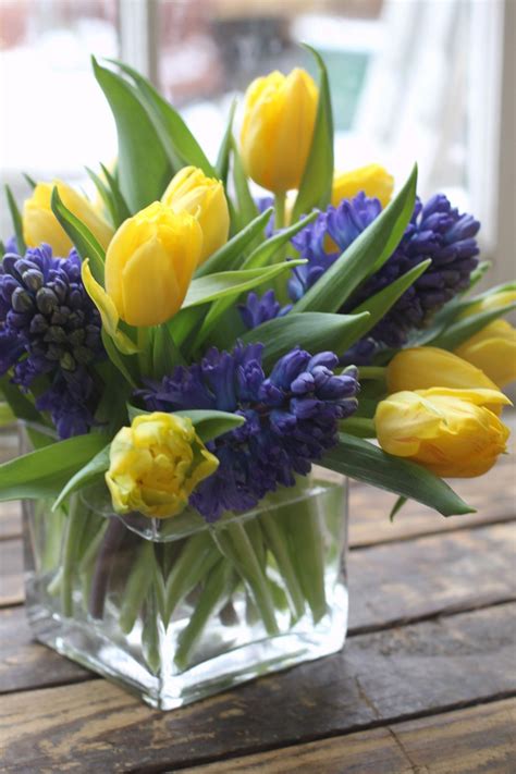 yellow tulip blue hyacinth spring flowers #BeautifulFlowers | Tulips ...