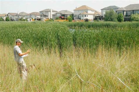 Maintenance of Retention Ponds | Janice Lukes, Councillor Waverley West Ward