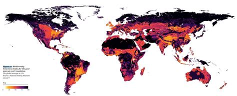 Current Laws to Protect Insect Diversity