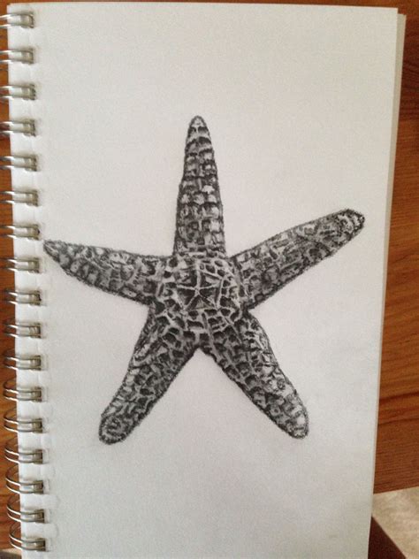 a drawing of a starfish on white paper