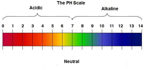 The Acid – Alkaline PH Scale « Abundant Health Center | Blog