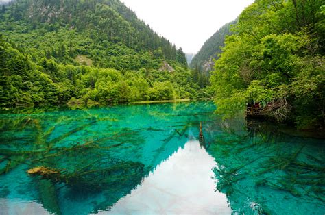 Jiuzhaigou landscape with green water in Sichuan, China image - Free ...