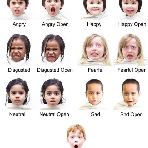 (PDF) The Child Affective Facial Expression (CAFE) Set: Validity and ...