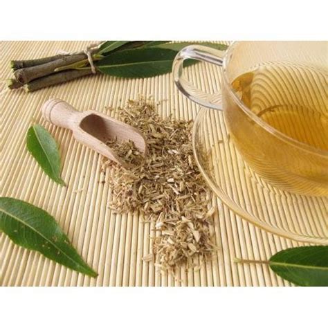 White Willow Bark Extract Liquid Form - Oil Soluble | Vijay Impex