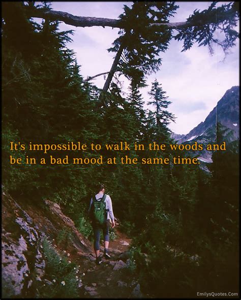 It’s impossible to walk in the woods and be in a bad mood at the same time | Popular ...