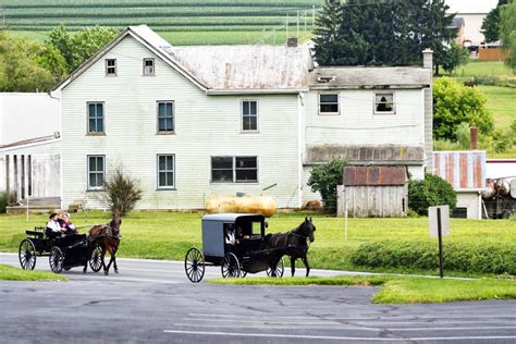 What Are Amish People? (A Comprehensive Amish Culture Guide) — Amish ...