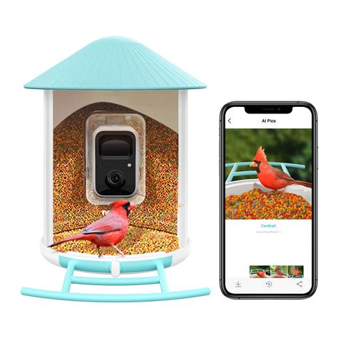 Buy NETVUE Birdfy - Smart Bird Feeder Camera, Bird Watching Camera Auto Capture Bird Video ...