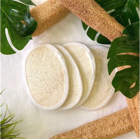 Loofah Scrub | For Exfoliating - The Sustainability Project