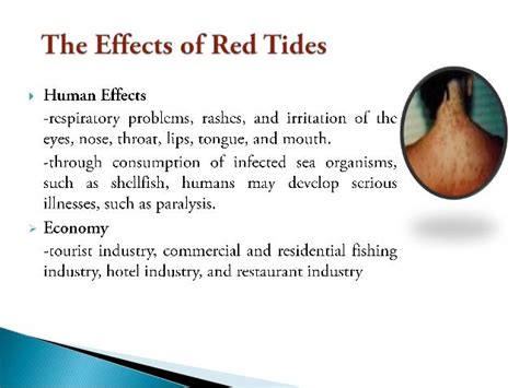 Red Tide Phenomenon