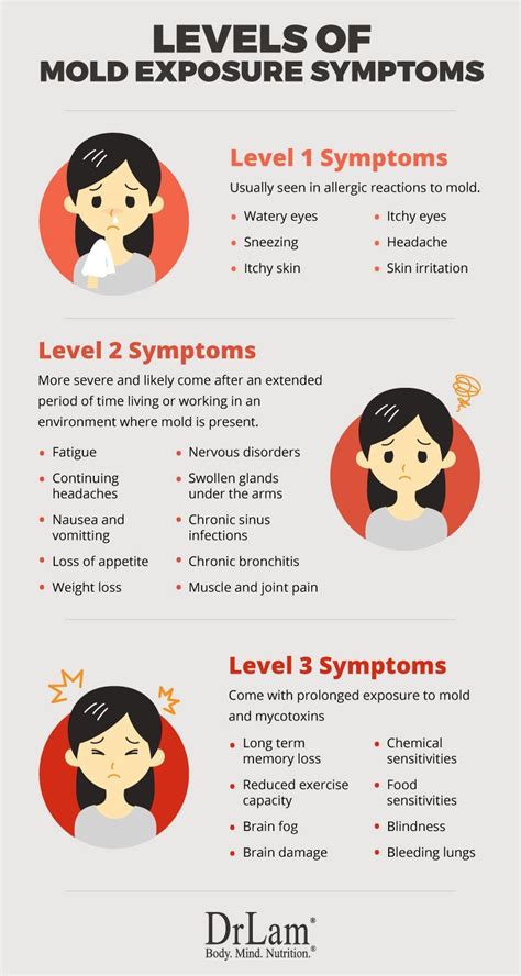 Fundamentals of Mold Exposure Symptoms and Adrenal Fatigue Syndrome | Mold exposure, Adrenal ...