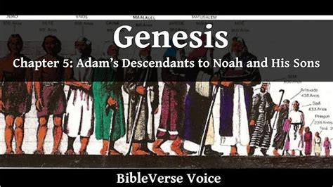 Genesis 5: Adam’s Descendants to Noah and His Sons – Bible Narrated On ...