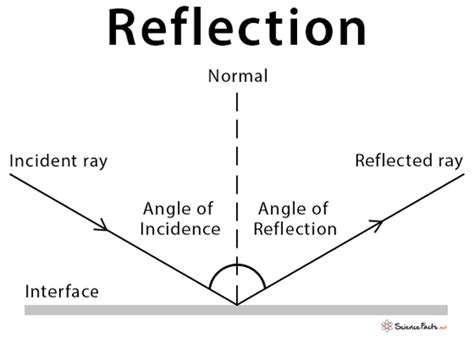 Reflection: Definition, Types, Laws, and Ray Diagrams