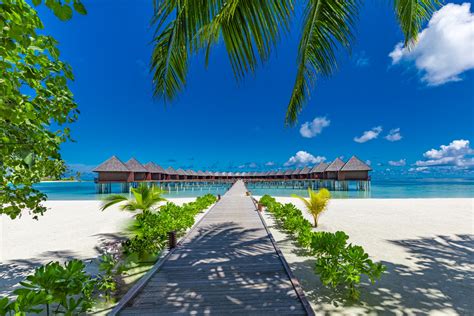 Sun Siyam Olhuveli Resort | Luxury Maldives Resort | Red Savannah