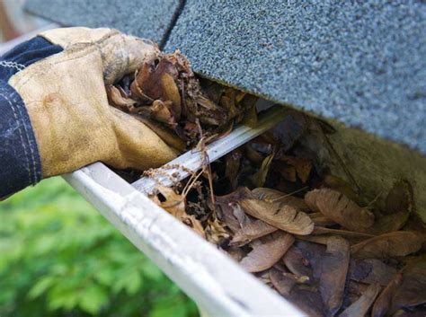 Rain Gutter Cleaning Service Company Companies based in Los Angeles, California.