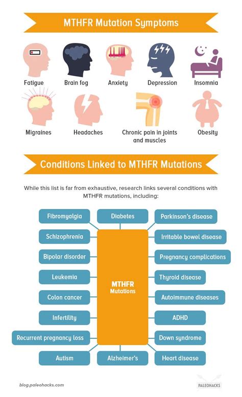 MTHFR Mutation: What It Is + 4 Natural Ways to Alleviate Symptoms | Mthfr, Mthfr mutation, Mthfr ...