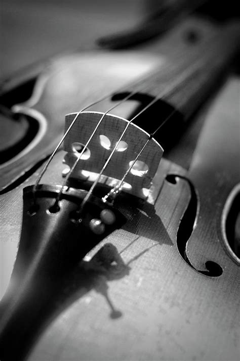 Violin Photograph by Danielle Donders - Mothership Photography