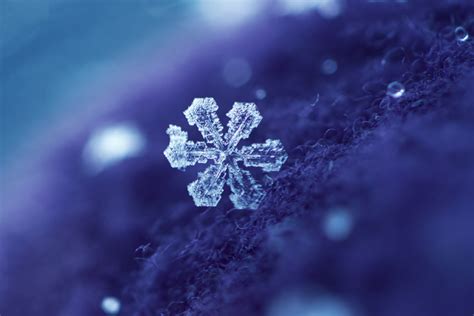 The Best Close-Ups of Snowflakes