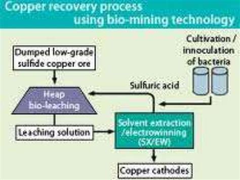 Bioleaching