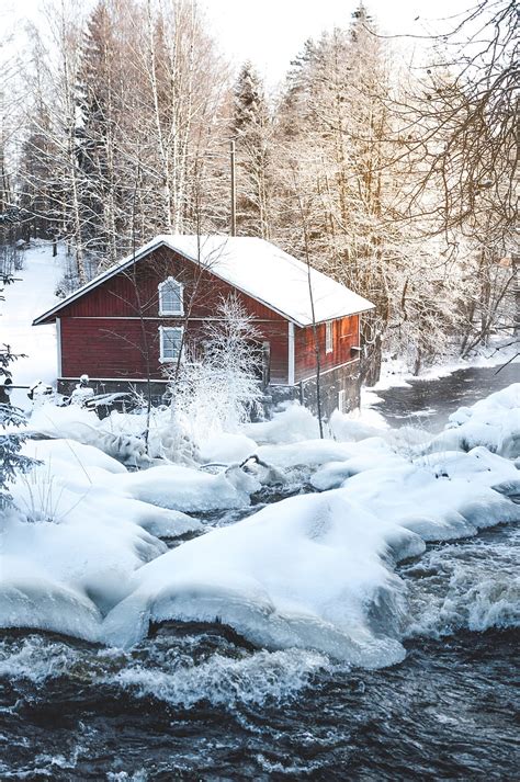 Hut, forest, trees, snow, snowy, HD phone wallpaper | Peakpx