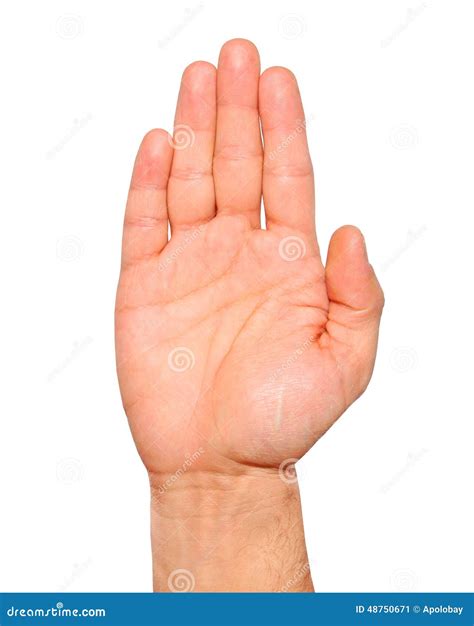 39,141 Open Palm Hand Gesture Stock Photos - Free & Royalty-Free Stock Photos from Dreamstime