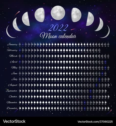 Moon phase calendar 2022 year month cycle planner Vector Image