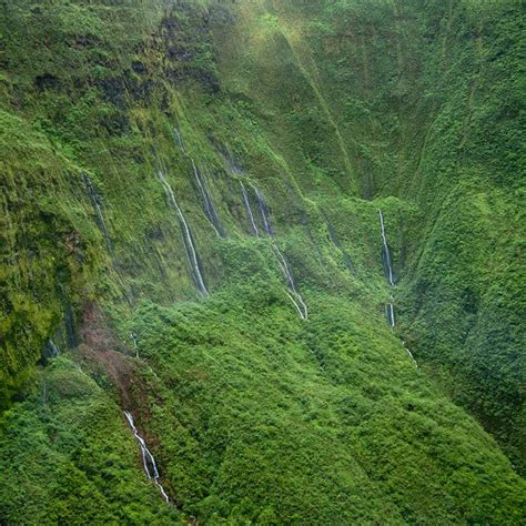 PAVAN MICKEY: Mount Waialeale, Kauai, Hawaii