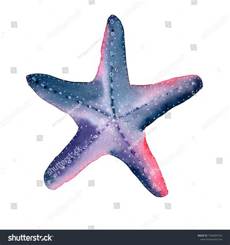 Starfish watercolor painting isolated on white background. Watercolor ...