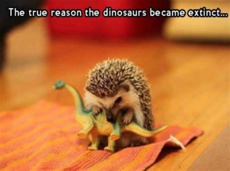 Best Dinosaur Memes of the Internet