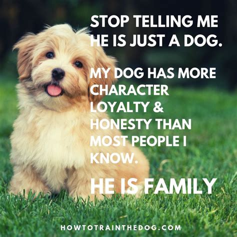 Pin on Lovely Dog Quotes