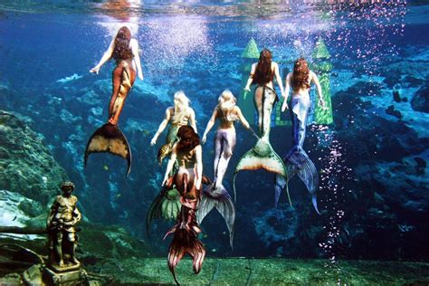 Mermaids to return to South Carolina Aquarium | Business | postandcourier.com