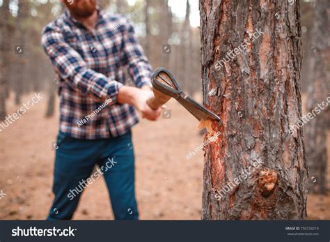 30,456 Tree cutting axe Images, Stock Photos & Vectors | Shutterstock