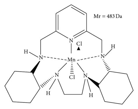 Superoxide Dismutase Structure