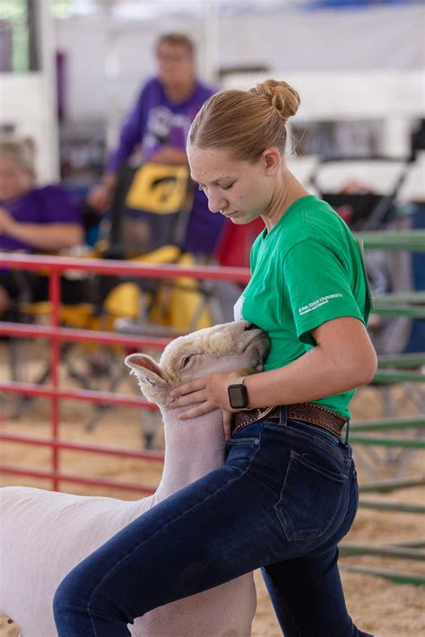 Home - Des Moines County Fair